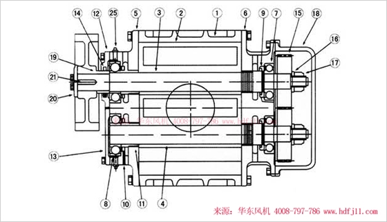 三葉羅茨風機內(nèi)部結構圖-縱切圖.jpg
