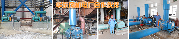 電廠用羅茨風(fēng)機(jī)現(xiàn)場案例