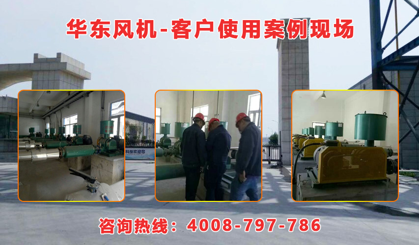 華東內(nèi)蒙古羅茨風(fēng)機(jī)案例-內(nèi)蒙古**生物環(huán)?？萍加邢挢?zé)任公司